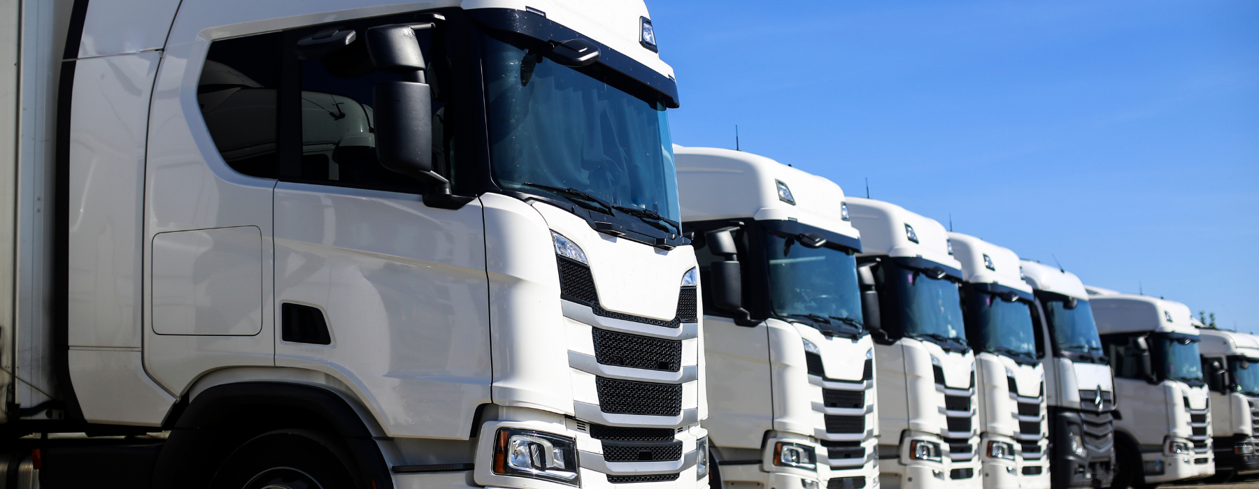 A row of modern white articulated trucks parked side by side under a blue sky, representing a professional haulage fleet needing truck insurance.